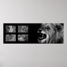 Lion Collage 2 Plakatdrucke