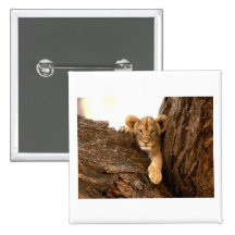Lion Cub Button