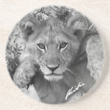 Lion Cub Coaster