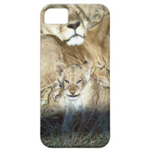 Lion CUB et lionne sur le safari au Botswana Étui iPhone 5