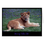 Lion Cub Greeting Card