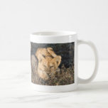 Lion Cub Mugs