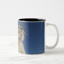 Lion Cub (Panthera Leo) sitting on sand, Namibia Mug