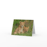 Lion Cubs Note Cards
