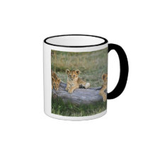 Lion cubs on log, Panthera leo, Masai Mara, 2 Mugs