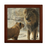 Lion Dad Meets Cub Gift Box