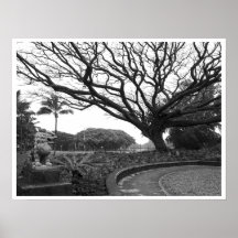 LION DOG and TREE - LILIUOKALANI PARK - HAWAII Posters