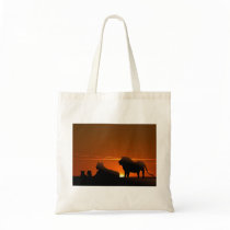 lion family bags