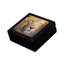 Lion Images Gift Box