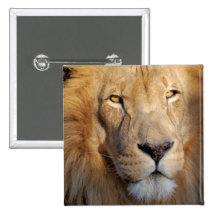 Lion Images Square Pin