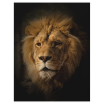 lion in darkness letterhead template
