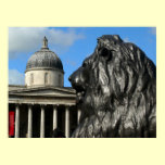 Lion in London Poster posters