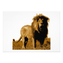 Lion Invitation - Lion Invites