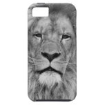 Lion iPhone 5 Cases