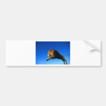 Lion Leaping and Blue Sky Bumper Sticker