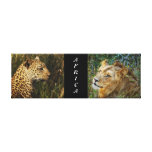 Lion leopard jungle safari animals Africa Canvas Print