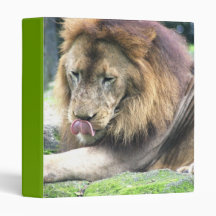 Lion Licking Binder