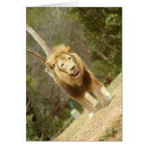 Lion Licking Greeting Card