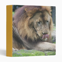 Lion Licking His Chops! Binder