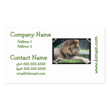 Lion Licking His Chops! Business Cards