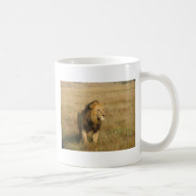 Lion - Male & Female Mug