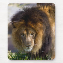 Lion Mouse Pad