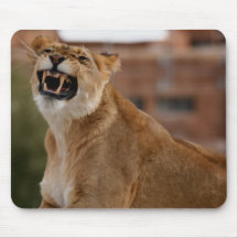 Lion Mouse Pads