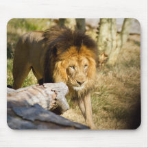 Lion Mouse Pads