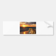 Lion of Judah Collection Bumper Stickers
