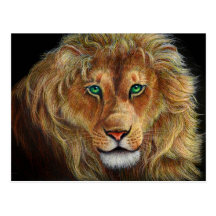 lion of Judah Postcards