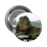 Lion on Car Button