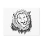 Lion Pencil Sketch Art Postcard