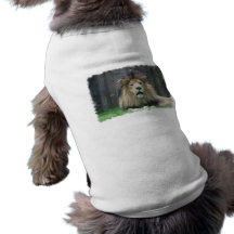 Lion  Pet Shirt