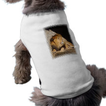 Lion Photo Pet Shirt