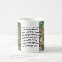 lion portrait coffee mugs