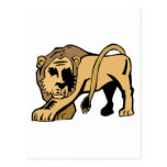 Lion Postcards