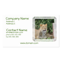 Lion Roar Business Card