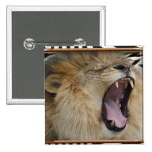 LION ROAR PINS