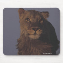 Lion Running Mouse Pads