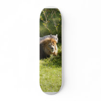 Lion & Tiger 014 Skateboard