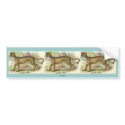 Lion-Tiger  (Felis leo Felis tigris hybrid) bumper stickers