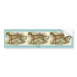 Lion-Tiger  (Felis leo Felis tigris hybrid) bumper stickers