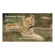 Lioness Business Card