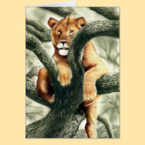 Lioness cards
