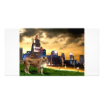Lioness in the City photo cards