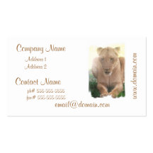 Lioness Profile Business Cards