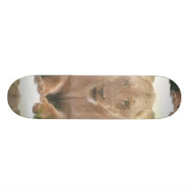 Lioness Profile Skateboard