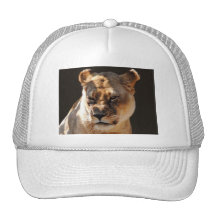 LIONESS TRUCKER HATS