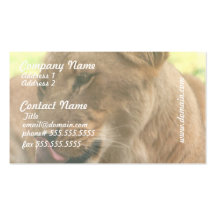 Lioness with Tongue Out Business Cards