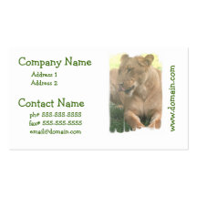 Lioness with Tongue Out Business Cards